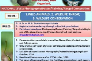 Invitation of Wildlife Week 2020 JEPG 19-20.jpg